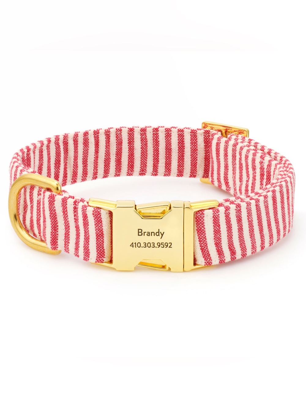 The Foggy Dog Gold Buckle Collar with Red and White Stripes XS
